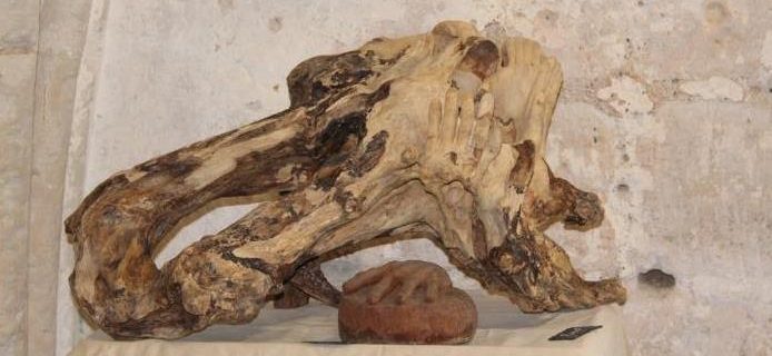 Chateau-Renault – Exposition « Le Murmure des arbres »
