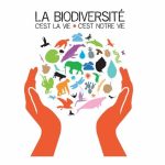 Levroux – Regards Croisés sur la Biodiversité : Exposition & Immersion Numérique